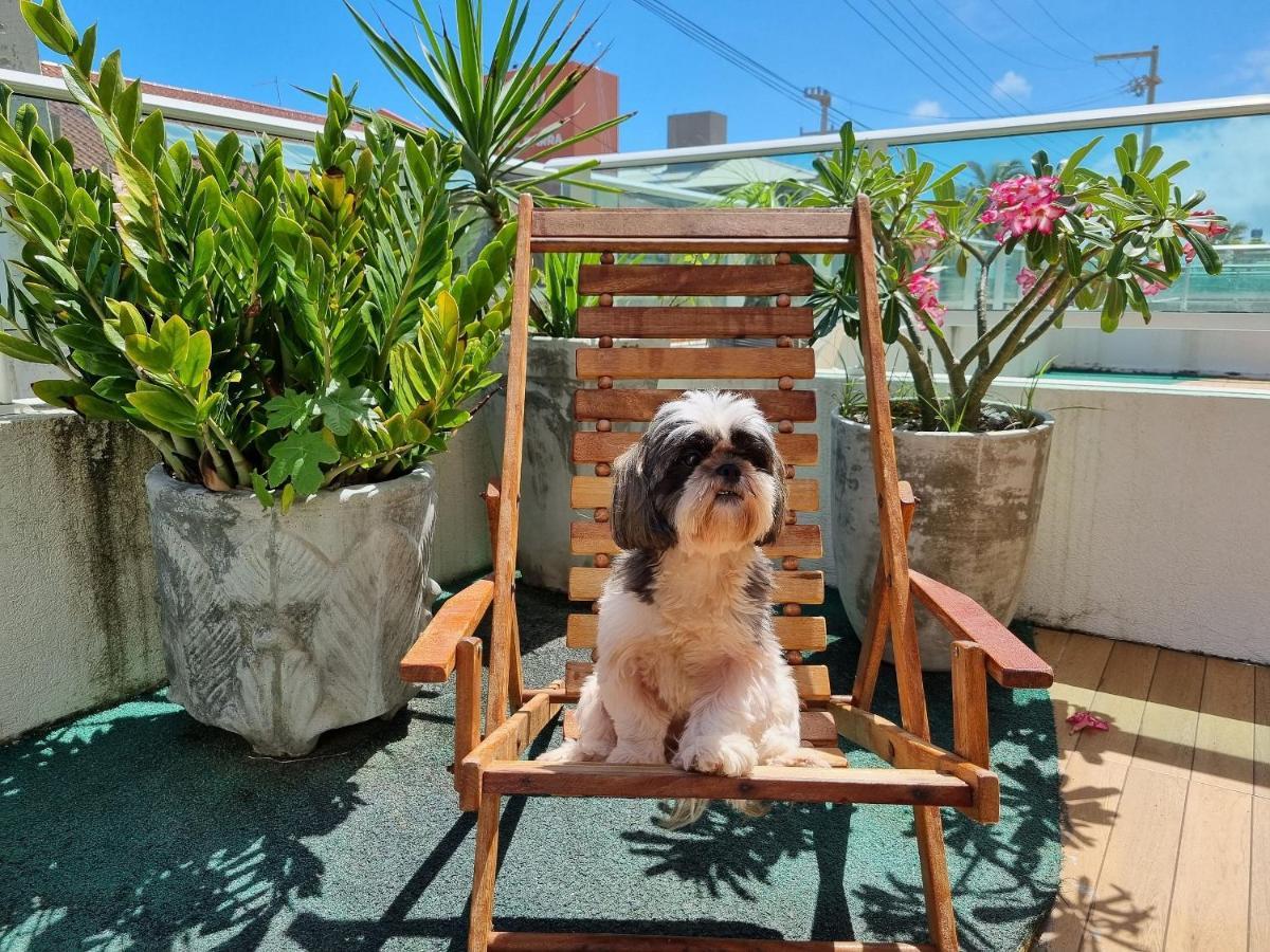 Areias Do Mar | 2 Quartos Garden Familia A113 บาร์ฮาเดเซามิเกล ภายนอก รูปภาพ